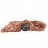 Pet Autumn Winter Dog Nest Warm Mattress Cat Sleeping Pad Long Blanket rose Red S 51 43