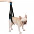 Pet Back Leg Deformity Injured Old Dog Stair Auxiliary Belt Pet Accessories   Blue M