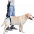 Pet Back Leg Deformity Injured Old Dog Stair Auxiliary Belt Pet Accessories   Blue M