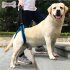 Pet Back Leg Deformity Injured Old Dog Stair Auxiliary Belt Pet Accessories   Blue M