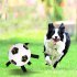Pet Ball Toys Water Sports Training Ball Multifunctional Super Elastic Outdoor Interactive Dog Football image color 17CM with air cylinder