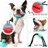 Pet Ball with Suction Cup Food Leakage Bite Resistant Rubber Molar Toys for Dog Blue Rugby L