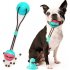 Pet Ball with Suction Cup Food Leakage Bite Resistant Rubber Molar Toys for Dog Red and white ball L