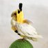 Pet Birds Bee Shaped Hoodies Cosplay Outfit Dress Up Clothes For Parrots African Greys Parakeet Cockatiel Sun Conure Finch Budgie Size M  bust 10cm 
