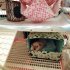 Pet Bottomless Cotton Nest Small Pet Hidden House Shelter Sleeping Bed For Rabbit Hedgehog Guinea Pig avocado 30 x 25 x 19
