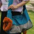 Pet Canvas Shoulder Carrying Bag Lion Shaped Cat Carrier Portable Reusable Tote Chest Bag For Small Dogs Cats Pet Supplies Lake blue small