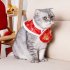 Pet Cat Cloak Apparel Tang Suit Adjustable Size Wear resistant Chinese New Year Style Pet Blessing Bag Bib C