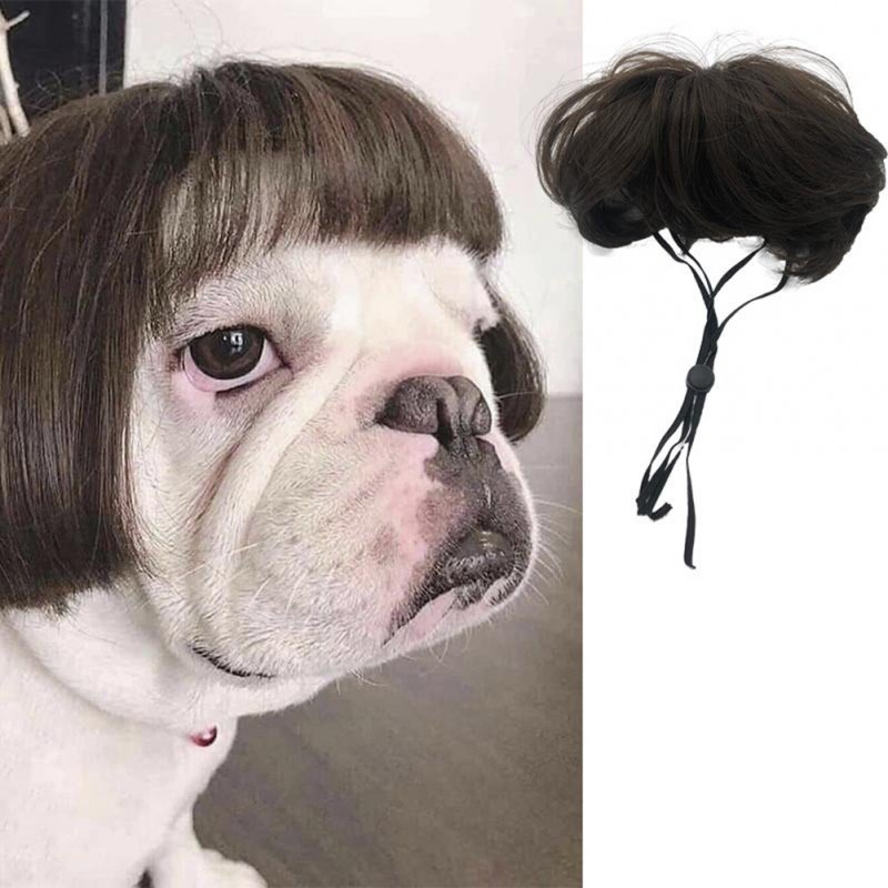 Pet Cat Dog Wigs Headgear Dress Up Transformation Costumes Cosplay Halloween