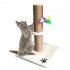 Pet Cat Foldable Scratching Pad with Column for Training