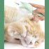 Pet Cat Grooming Comb Multifunctional Hair Remover Brushes Cat Teaser Stick Kitten Grooming Supplies green with Teaser Stick