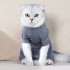 Pet Cat Shedding Suit Full Coverage Pet Recovery Bodysuit After Surgery Alternative Anxiety Calming Shirt gray L