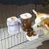 Pet Cats Dogs Drinking Fountain Feeder For Small Pets And Animals Wall Mount Water Feeder Dispenser Large Capacity Pet Cage Hanging Bowl Food Container Hanging 