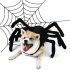 Pet Chest Strap Vest Halloween Cosplay Costume for Cat Small Dog Cothing L