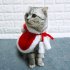 Pet Christmas Cape Cloak Dress Up Clothes Funny Transformed Cosplay Costume Photo Props Red S Size for 1 5 3kg