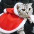 Pet Christmas Cape Cloak Dress Up Clothes Funny Transformed Cosplay Costume Photo Props Red M Size for 3 5kg