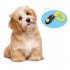 Pet Clicker Whistle for Dog Training with Wrist Strap green