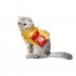 Pet Clothes New Year Cloak Chinese Tang Dynasty Costume with Red Envelope for Cat Dog red S