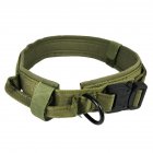 Pet Collar Adjustable Thicken Leash Control D Ring Training Collar for Small Large Dogs green L