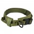 Pet Collar Adjustable Thicken Leash Control D Ring Training Collar for Small Large Dogs green XL