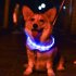 Pet Collar Led Usb Dog Night Luminous Charge Collar Led Night Safety Flashing Glow Dog Loss Prevention Silicone Collar Pet Accessories For Dog Cat Kitten Blue m
