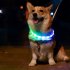 Pet Collar Led Usb Dog Night Luminous Charge Collar Led Night Safety Flashing Glow Dog Loss Prevention Silicone Collar Pet Accessories For Dog Cat Kitten Blue m