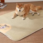 Pet Cooling Mat Ice Pad Cushion Comfortable Breathable Natural Material Pet Summer Supplies For Cats Dogs