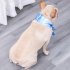 Pet Cooling Scarf Outdoor Comfortable Fabric Ice Collar Pet Supplies For Small Medium Large Dog blue S