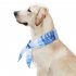 Pet Cooling Scarf Outdoor Comfortable Fabric Ice Collar Pet Supplies For Small Medium Large Dog blue M