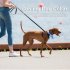 Pet Cooling Scarf Outdoor Comfortable Fabric Ice Collar Pet Supplies For Small Medium Large Dog blue M