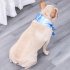 Pet Cooling Scarf Outdoor Comfortable Fabric Ice Collar Pet Supplies For Small Medium Large Dog blue L