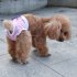 Pet Cotton Physiological Pant Female Dog Striped Underwear Briefs Diaper Pet Supplies Blue M