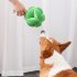 Pet Dog Broccoli Snuffle Ball Puzzle Toys Slow Dispensing Feeder Increase IQ Squeaky Toys Green