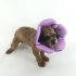 Pet Dog Cat Soft Comfortable Durable Collar Wound Healing Cone Protection Rainbow color S