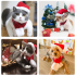 Pet Dog Christmas Scarf Hat Set Soft Winter Neck Warmer Scarf christmas hat S