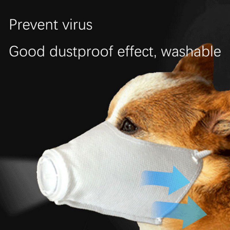 Pet Dog Dust Antibacterial Mask Anti-Haze Outdoor Travel Supplies Prevent Virus Washable Mask White _S code