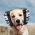 Pet Dog Earmuffs Anti noise Adjustable Headband Head worn Hearing Protection Supplies Camouflage