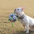Pet Dog Football Toys Outdoor Multifunctional Interactive Training Toys Chew Toy With Rope Pet Supplies Star  black  diameter 15cm 