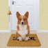Pet Dog Hanging Bell Professional Loud Clear Brass Training Doorbell With Screws Pet Supplies For Potty Dogs White