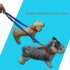 Pet Dog Leash One Drag Two Double End Rope Elastic Buffer Retractable Reflective Dog Rope Dog Collar red
