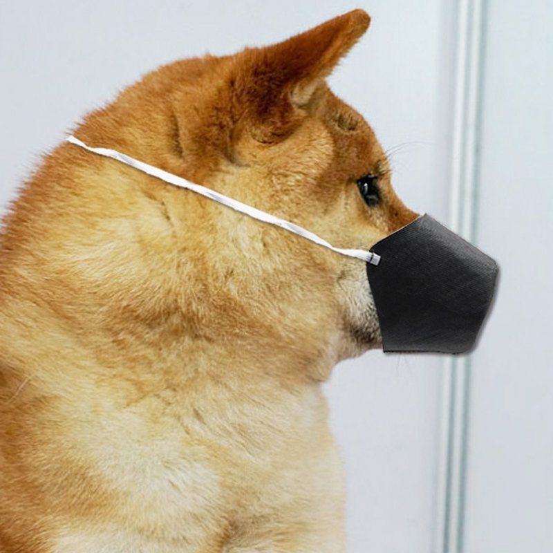 dog mouth mask