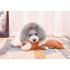 Pet Dog Plush Chewing Toy Cartoon Animal Shape Bite resistant Tooth Cleaning Interactive Sound Toy plush wolf
