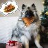Pet Dog Roast Chicken Plush Squeaky Stuffed Toys Chew resistant Chew Toy Teeth Cleaning Toy Pet Accessories roast chicken