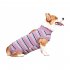 Pet Dog Striped Surgery Recovery Suit Highly Elastic Comfortable Anti licking Alternative Abdominal Wounds Bandages wine red strip XXL