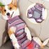 Pet Dog Striped Surgery Recovery Suit Highly Elastic Comfortable Anti licking Alternative Abdominal Wounds Bandages wine red strip XXL