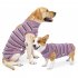 Pet Dog Striped Surgery Recovery Suit Highly Elastic Comfortable Anti licking Alternative Abdominal Wounds Bandages wine red strip XXL