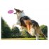 Pet Dog TPE Rugby Toys Funny Chew Toys Food Container Tooth Cleaning Balls