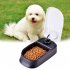 Pet Dog Timing Automatic Feeder Cat Dog Dry Food Dispenser Dish Bowl  white