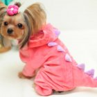 Pet Dog Warm Dinosaur Hoodies Jacket Coat Halloween Costume Outfits Cosplay