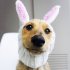 Pet Dog Warm Windproof Knitted Hat Animal Series Dress Up Pet Headgear Head Accessories Photo Props brown bear M