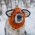Pet Dog Warm Windproof Knitted Hat Animal Series Dress Up Pet Headgear Head Accessories Photo Props brown bear M